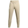 Pánske športové tepláky Under Armour RIVAL TERRY JOGGER hnedé 1380843-289 - XXL