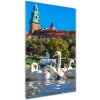 Vertikálny fotoobraz na skle Krakov Poľsko 50x100 cm
