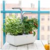 Véritable Smart Automatický kvetináč s reguláciou osvetlenia, biely + 4 bylinkové náplne