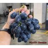 Vinič Mystic Dream bezsemenný New!