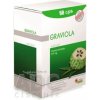 GRAVIOLA annona muricata - Medika Pharm cps 1x60 ks