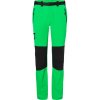 James & Nicholson kalhoty JN 1206 fern green