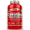 Amix Nutrition Amix Creatine Monohydrate 500 kapsúl