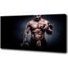 Foto obraz canvas Stavba svalov 100x50 cm