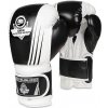 Boxerské rukavice DBX BUSHIDO B-2v3A 14oz