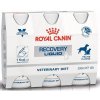 Royal Canin VD Cat/Dog liquid Recovery 3 x 200 ml