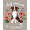 Malý atlas psů - Ewa Pawlaková, Pawel Pawlak