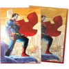 Dragon Shield Brushed Art Sleeves Superman obaly 100 ks