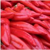 Paprika Lipari F1 - Capsicum annuum - semienka - 5 ks