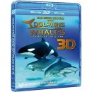Jean-Jacques Mantello - Delfíni a veľryby 3D: Tuláci oceánov (Blu-ray)
