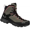 Salewa MTN Trainer 2 Mid GTX W brown