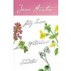 Lady Susan, Watsonovci, Sanditon - Jane Austen