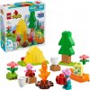 LEGO® LEGO® DUPLO® 10452 Kempovačka 2210452