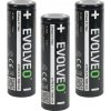 EVOLVEO LiPower 217 Max 5000 5000 mAh 3 ks LIP-2175M-3
