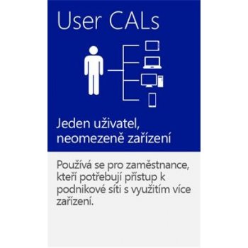 Windows Server CAL 2019 Eng 5 Clt User CAL OEM R18-06466