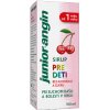 Junior angin sirup 100 ml
