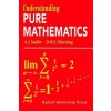 Understanding Pure Mathematics (A J Sadler)(Brožovaná)