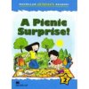 Macmillan Children's Readers A Picnic Surprise International Level 2 (Amanda Cant)(Brožovaná)