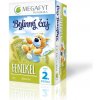 MEGAFYT Bylinný čaj FENIKEL pre deti od 2. mesiaca 20 x 1,5 g