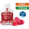 Monk Forest Fruit Gel 30 g