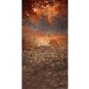 LumArt Vinylové foto pozadie 160x300cm V044S V1272