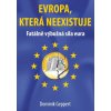 Evropa která neexistuje Fatálně výbušná síla eura - Geppert Dominik