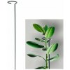 Bestent Oporná tyč pre rastliny 60cm 4mm
