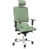 ASANA Seating Ergonomická kancelárska stolička Asana Architect Farba čalúnenia: Eko koža Zelená 569 11 farieb