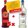 Martini Fiero 15% 1 l (čistá fľaša)
