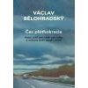 Čas pléthokracie Když části jsou větší než celky a světový duch spadl z koně - Bělohradský Václav