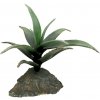 Sukulenty Lucky Reptile Agave malé, cca 10 cm