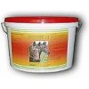 HIPPOVIT H Hoof & Coat 10000 g