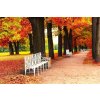 DIMEX | Vliesové fototapety na stenu Biela lavička v parku MS-5-1939 | 375 x 250 cm | zelená, červená, biela, oranžová + Vliesová fototapeta na stenu DIMEX Biela lavička v parku MS51939 v rozmere 375