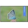 BENQ ST4304 S