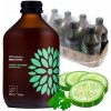 Vigo bio kombucha uhorka a koriander 330 ml