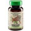 NEKTON Iguana - Doplnok pre bylinožravé plazy 40g
