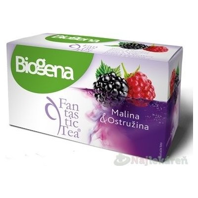 Biogena Fantastic Tea Malina & Ostružina ovocný čaj 20x2,2 g