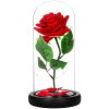 Večná ruža v skle - Led - 22 cm - červená / zelené listy