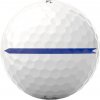 Titleist ProV1 Perfomance Alignment biele s modrou mieriacou šípkou 3 ks