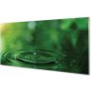 Obraz plexi Kvapka vody close-up 100x50 cm