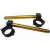 ACCOSSATO Pair of raised clip-on ACCOSSATO CP004 + 20 mm 10 degrees inclination, gold