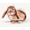 ZUTY Maľovanie podľa čísel - HNEDÝ KRÁLIK NA BIELOM POZADÍ Rámovanie: bez rámu a bez vypnutia plátna, Rozmer: 80x100 cm