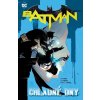 Batman 8: Chladné dny