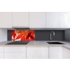 DIMEX | Dibond doska za kuchynskú linku | DBW-08040-008 Červené listy| 80 x 40 cm + Dibond obkladová doska Dimex do kuchyne Červené listyv rozmere 80 x 40 cm