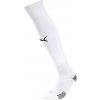 Puma teamFINAL 21 Socks