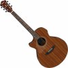 Ibanez AE295L