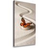 Vertikálny foto obraz na plátne Kameň zen a motýľ 50x100 cm