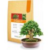 Symbivit Bonsai - mykoríza pre bonsaje - 150 g