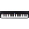 Steinmayer P-60 SM Stage Piano Black