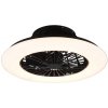 Trio R62522132 LED stropné svietidlo s ventilátorom Stralsund 1x30W | 2200lm | 3000 - 6500K - oddelené vypínače, diaľkové ovládanie, stmievateľné, 3 rýchlosti, časovač, nočný režim, hviezdny efekt, či